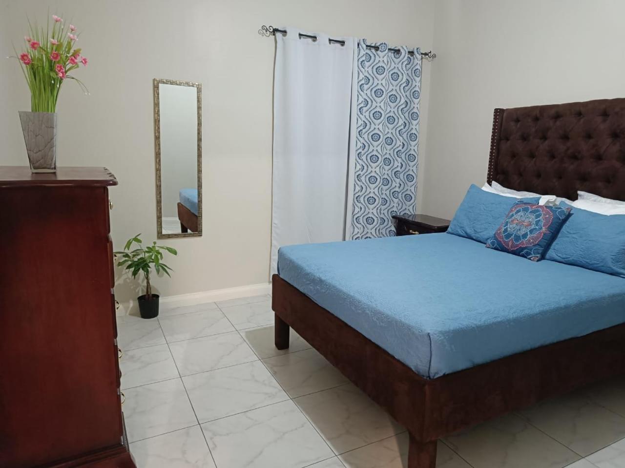 Lovely 2 Bedroom C̅ Netflix Across National Stadium Кінгстон Екстер'єр фото